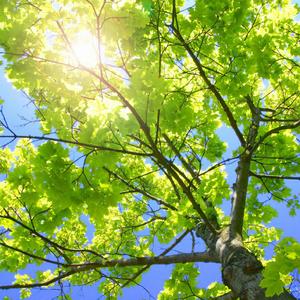 恋老瘦老456╳FuCK老头
